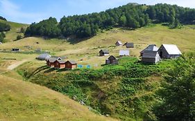 Eco Village Goles